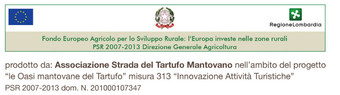 Sponsor piè di pagina